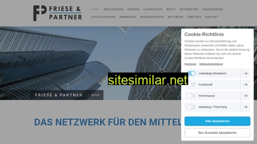 friese-und-partner.de alternative sites