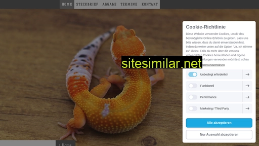 geckohunter.de alternative sites