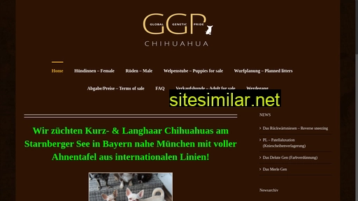 ggp-chihuahua.de alternative sites