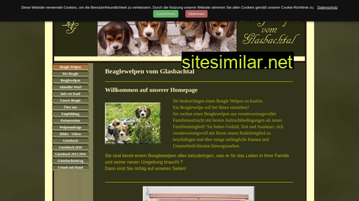 glasbachtal-beagle.de alternative sites