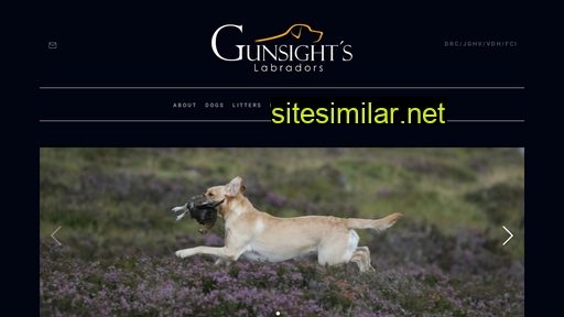 gunsights.de alternative sites