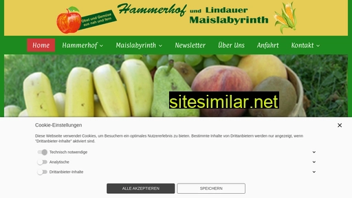 hammerhof-lindau.de alternative sites