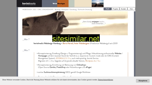 hertelmedia-webdesigner-hamburg.de alternative sites