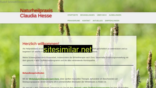 hesse-heilpraktikerin.de alternative sites