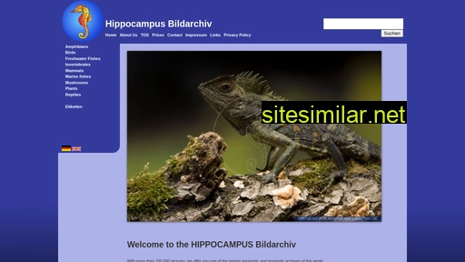 hippocampus-bildarchiv.de alternative sites