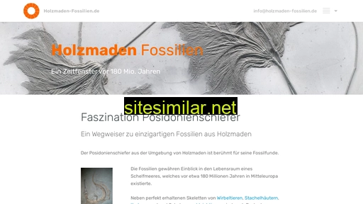 holzmaden-fossilien.de alternative sites