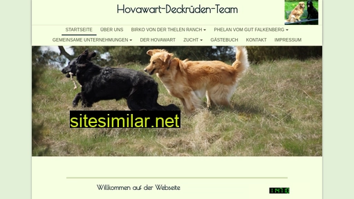 Hovawart-deckruede-team similar sites