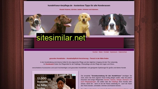 Hundefriseur-tierpflege similar sites