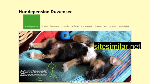 hundepension-duwensee.de alternative sites