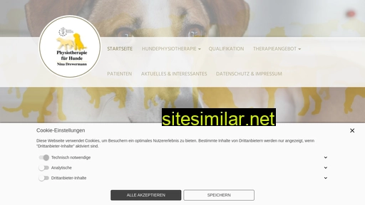 hundephysiotherapie-drewermann-detmold.de alternative sites