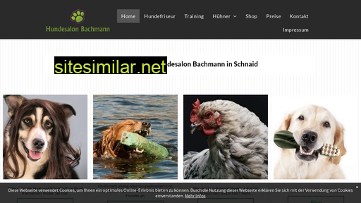 Hundesalon-bachmann similar sites