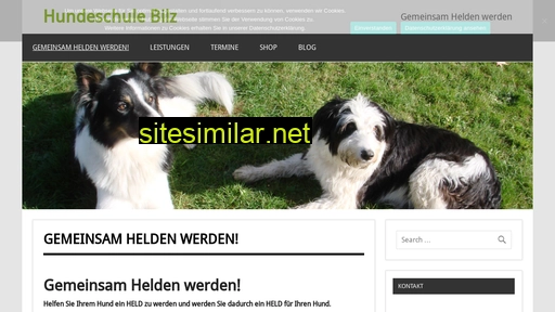 hundeschule-bilz.de alternative sites