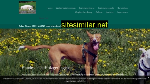 hundeschule-holzgerlingen.de alternative sites