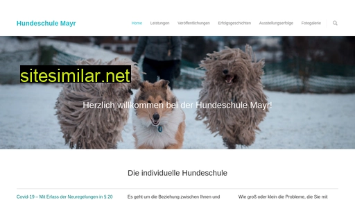 hundeschule-mayr.de alternative sites