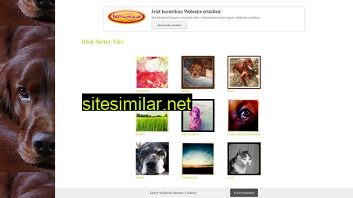 irish-setter-vito.de alternative sites