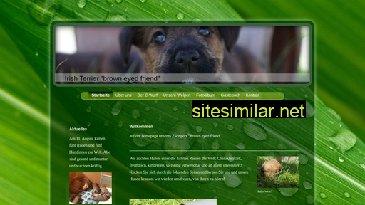 irish-terrier-brown-eyed-friend.de alternative sites