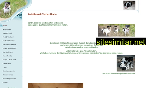 Jack-russell-terrier-koeln similar sites