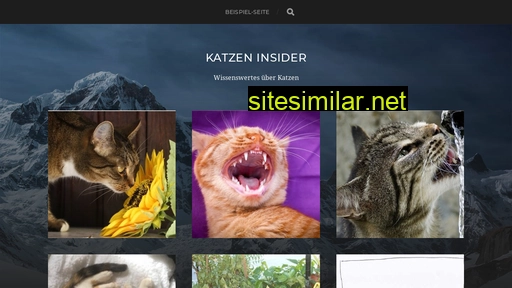 Katzen-insider similar sites