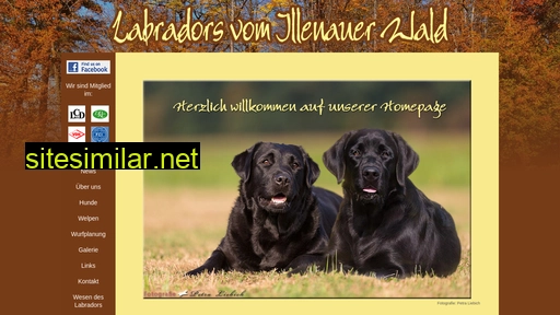 Labradors-illenauer-wald similar sites