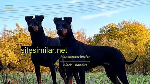 manchester-terrier-black-bandits.de alternative sites