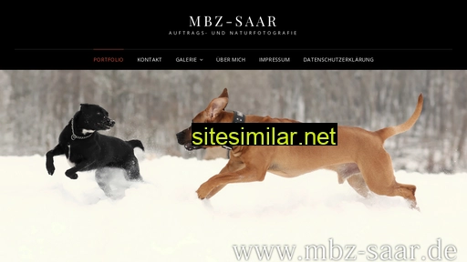 mbz-saar.de alternative sites