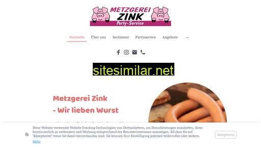 metzger-zink.de alternative sites