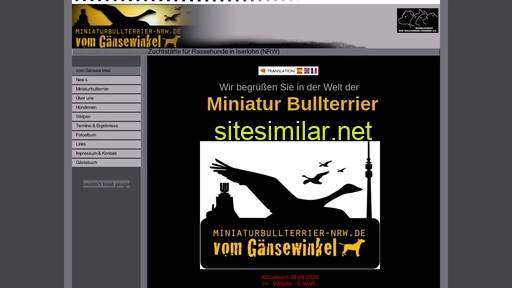miniaturbullterrier-nrw.de alternative sites