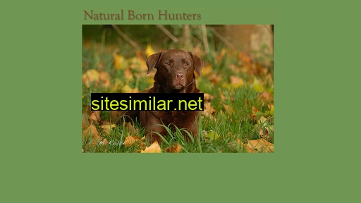 natural-born-hunters.de alternative sites