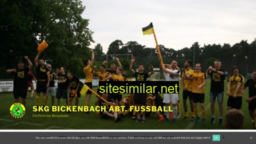 new.skgbickenbach.de alternative sites