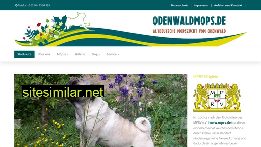 odenwaldmops.de alternative sites