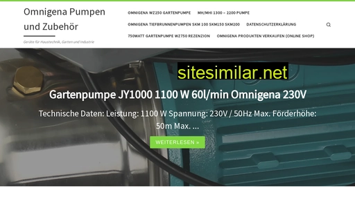 Omnigena-pumpen similar sites