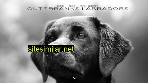 Outerbanks-labradors similar sites