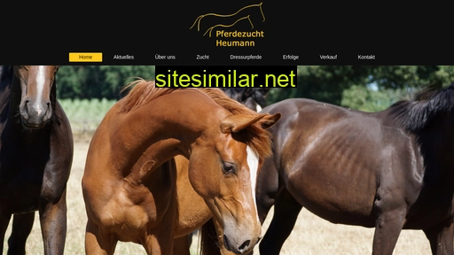 Pferdezucht-heumann similar sites