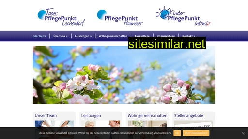 pflegepunkt-hannover.de alternative sites