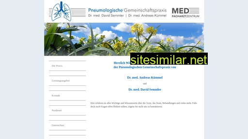 pneumologische-praxis-mainz.de alternative sites