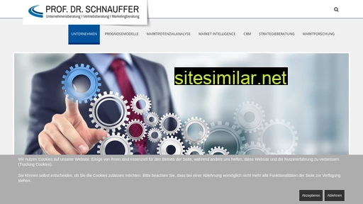 prof-schnauffer.de alternative sites