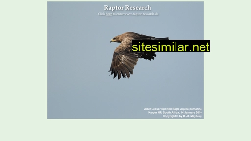 Raptor-research similar sites