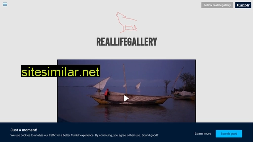 reallifegallery.de alternative sites