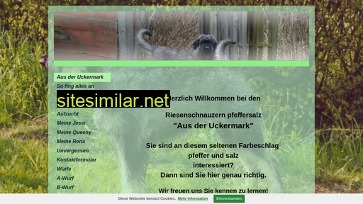 riesenschnauzer-pfeffersalz-aus-der-uckermark.de alternative sites