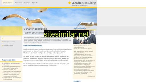 schaffer-consulting.de alternative sites