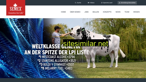 semex-deutschland.de alternative sites