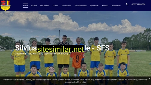 Silviu-fussball-schule similar sites