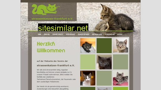 Strassenkatzen-frankfurt similar sites