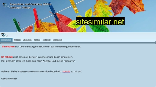 supervision-weber.de alternative sites