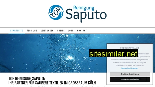 top-reinigung-saputo.de alternative sites