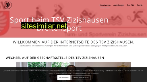 tsv-zizishausen.de alternative sites