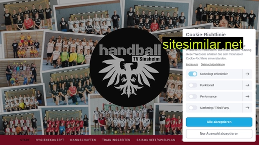 tvsinsheimhandball.de alternative sites