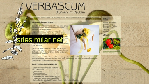 Verbascum similar sites