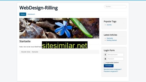 Webdesign-rilling similar sites