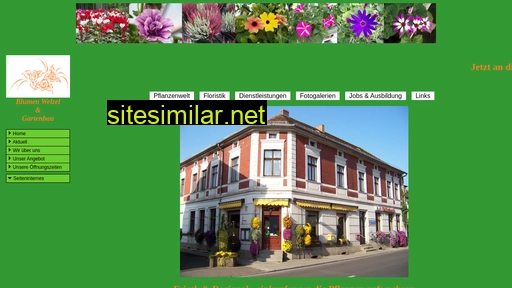 www.blumen-welzel.homepage.t-online.de alternative sites